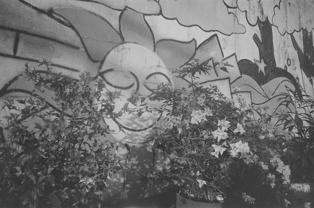 Photo Customized mural
